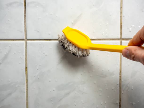 Best Mold Remediation  in Mission Hills, CA