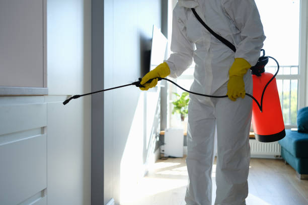 Best Mold Cleaning Services  in Mission Hills, CA