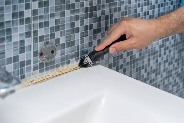 Best Best Mold Removal Companies  in Mission Hills, CA