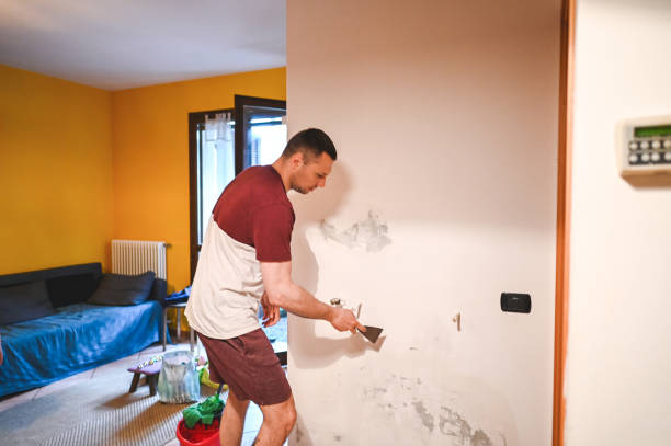 Best Local Mold Removal Service  in Mission Hills, CA