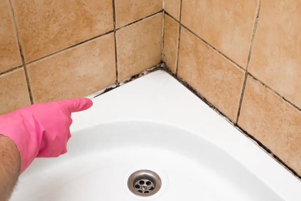 Best Office Mold Removal Services  in Mission Hills, CA